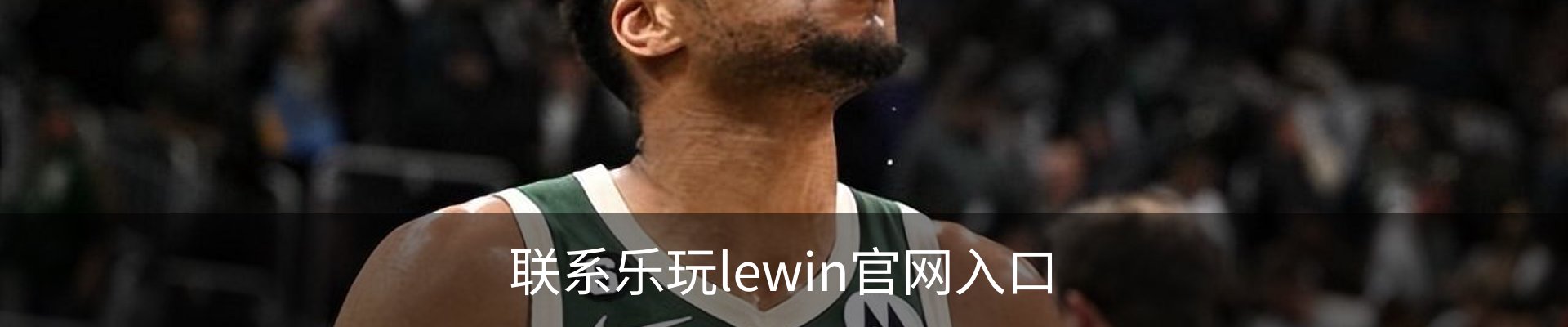 联系乐玩lewin官网入口